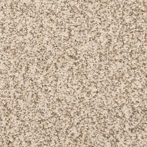 Karastan Cordial Welcome Kashmere Carpet Blanched Almond 9820