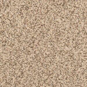 Karastan Cordial Mood Kashmere Carpet Tuscan 9840