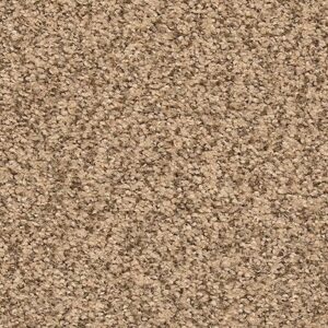 Karastan Cordial Mood Kashmere Carpet Fallow 9860