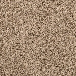 Karastan Cordial Welcome Kashmere Carpet Dark Vanilla 9866