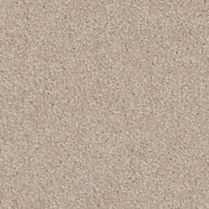 Karastan Gossamer Hues Kashmere Carpet Sapling 9721