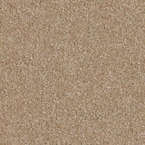 Karastan Gossamer Hues Kashmere Carpet Praline 9742