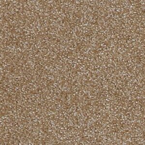 Karastan Gossamer Hues Kashmere Carpet Cameo 9822