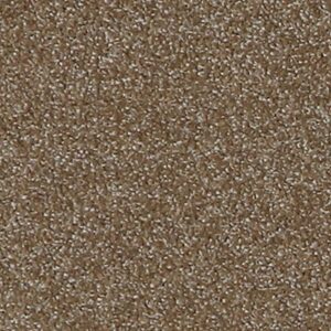 Karastan Gossamer Hues Kashmere Carpet Morel 9852