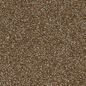 Karastan Gossamer Hues Kashmere Carpet Kona 9868