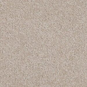 Karastan Gossamer Hues Kashmere Carpet Frosted 9931
