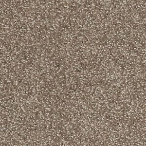 Karastan Gossamer Hues Kashmere Carpet Mineral 9967