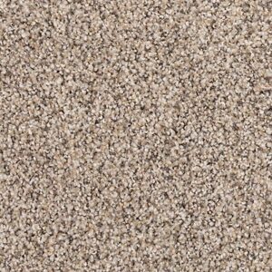 Karastan Cordial Memory Kashmere Carpet Driftwood Mist 9721