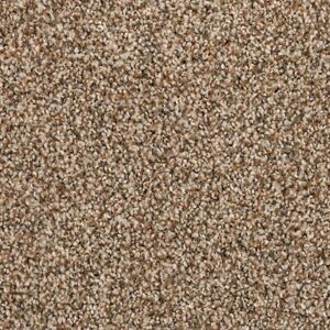 Karastan Cordial Memory Kashmere Carpet Sandstone Beige 9822