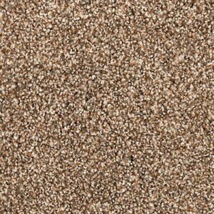 Karastan Cordial Memory Kashmere Carpet Sandy Clay 9842