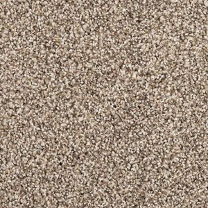 Karastan Cordial Memory Kashmere Carpet Linen Haze 9930