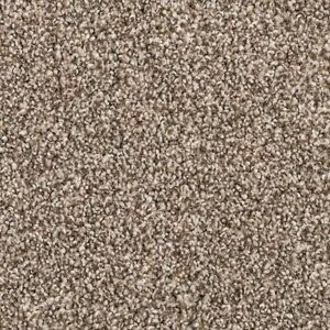 Karastan Cordial Memory Kashmere Carpet Misty 9942