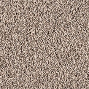 Karastan Dedonair Invitation SmartStrand Silk Dapper 9827