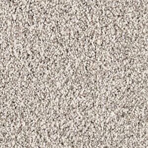 Karastan Dedonair Invitation SmartStrand Silk Refined 9917