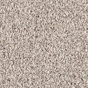 Karastan Dedonair Invitation SmartStrand Silk Sophisticate 9922
