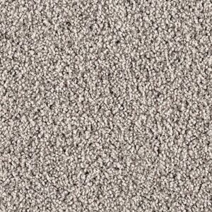 Karastan Dedonair Invitation SmartStrand Silk Elegance 9927