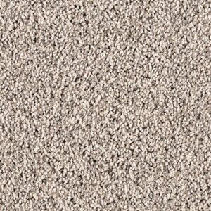 Karastan Dedonair Invitation SmartStrand Silk Suave 9932