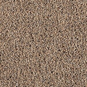 Karastan Refined Simplicity SmartStrand Silk Carpet Enigma 9743