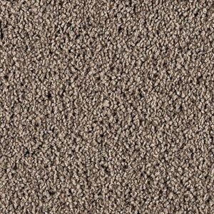 Karastan Refined Simplicity SmartStrand Silk Carpet Urbane 9835