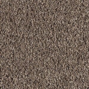 Karastan Refined Simplicity SmartStrand Silk Carpet Regal 9865