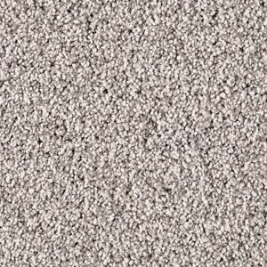 Karastan Refined Simplicity SmartStrand Silk Carpet Noble 9912