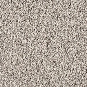 Karastan Refined Simplicity SmartStrand Silk Carpet Sophisticate 9922