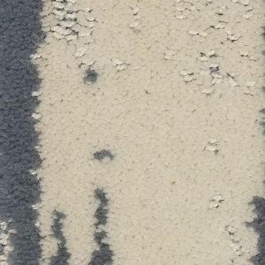 Karastan Resonance Kashmere XTRA Carpet Rhythmic 9505