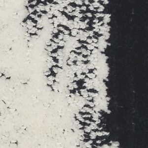 Karastan Resonance Kashmere XTRA Carpet Amplified 9509