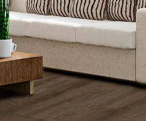 Palmetto Velocity Luxury Vinyl Collection