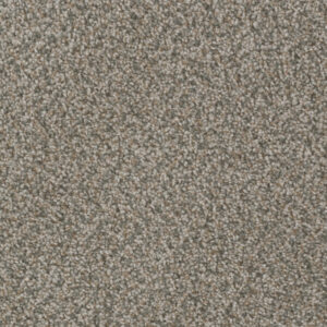 Dreamweaver Carpet Sp250 Carbon Crystals Carpet SP250_255