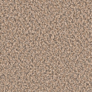 Dreamweaver Carpet Sp250 Shoreline Carpet SP250_367
