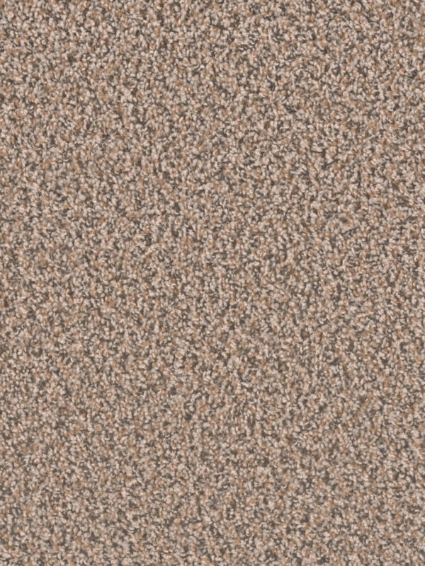 Dreamweaver Carpet Sp250 Gingerbread Carpet SP250_390