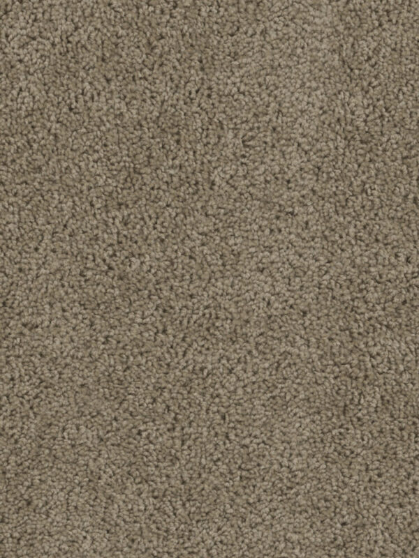 Dreamweaver Carpet Sp250 Honey Beige Carpet SP250_510