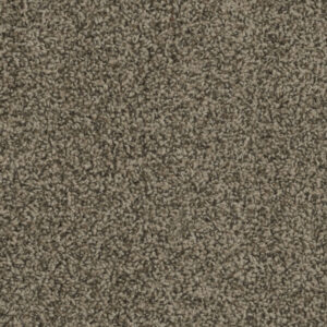 Dreamweaver Carpet Sp250 Agate Carpet SP250_512