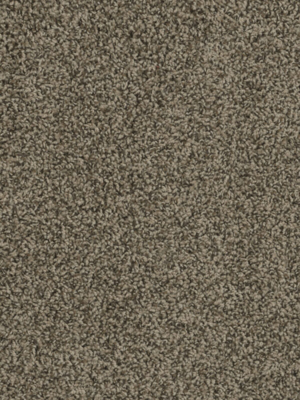 Dreamweaver Carpet Sp250 Agate Carpet SP250_512