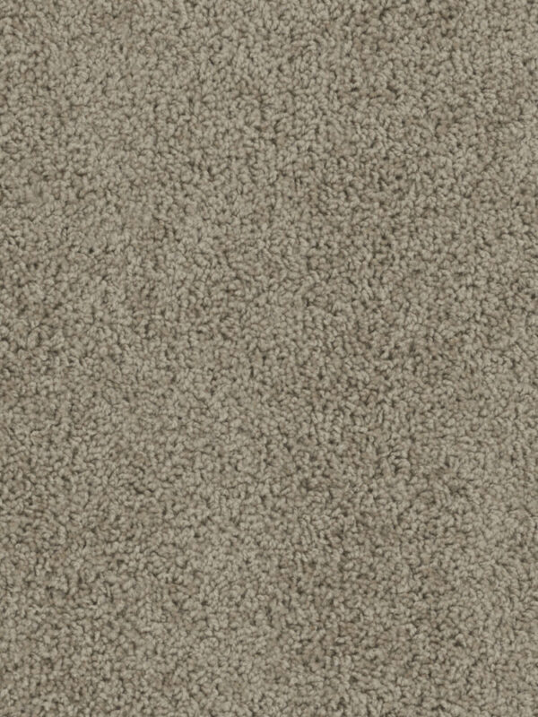 Dreamweaver Carpet Sp250 Doeskin Carpet SP250_530