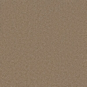 Dreamweaver Carpet Sp250 Sawgrass Carpet SP250_701