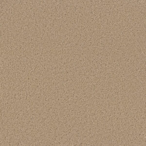Dreamweaver Carpet Sp250 Cookie Dough Carpet SP250_705