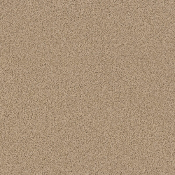 Dreamweaver Carpet Sp250 Cookie Dough Carpet SP250_705