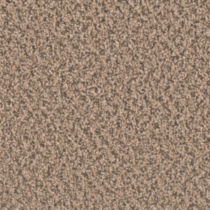 Dreamweaver Carpet Sp250 Fossil Carpet SP250_742