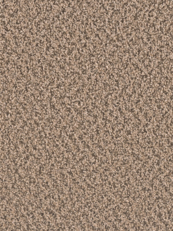 Dreamweaver Carpet Sp250 Fossil Carpet SP250_742