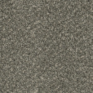 Dreamweaver Carpet Sp250 Ironside Carpet SP250_783