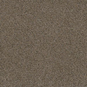 Dreamweaver Carpet Smart Squares Walk In The Park Copper Mine Carpet SQ107_314