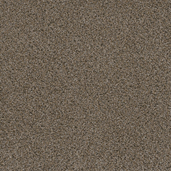 Dreamweaver Carpet Smart Squares Walk In The Park Copper Mine Carpet SQ107_314