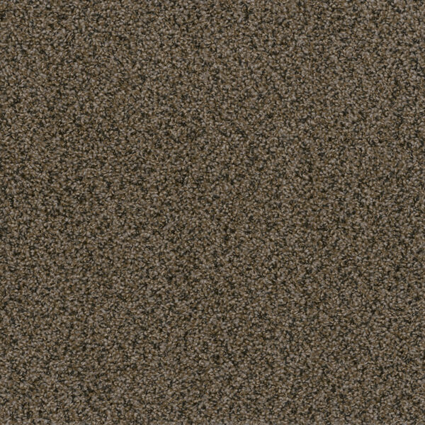 Dreamweaver Carpet In A Snap Rustic Charm Carpet SQ108_383