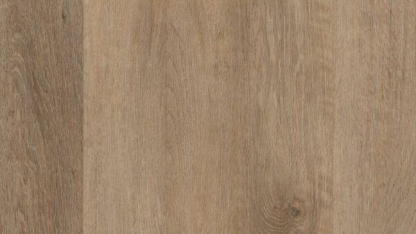 COREtec Plus Brockport Oak 5"