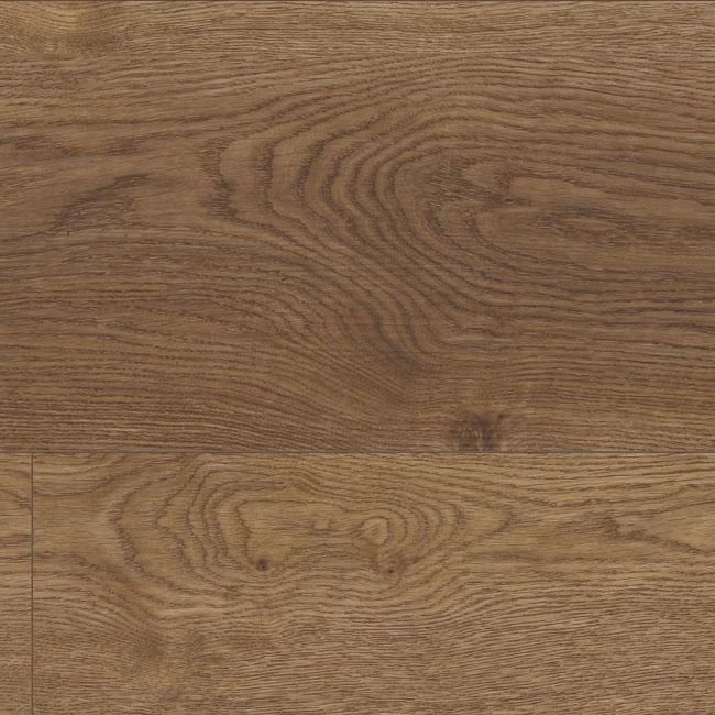 COREtec Plus Enhanced XL Arvon Oak 9"