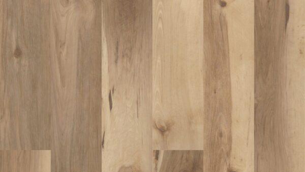 COREtec Pro Plus XL Havanna Hickory 7"