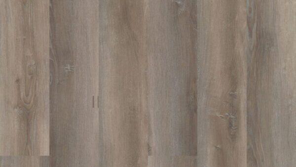 COREtec Pro Plus XL Wellington Oak 7"