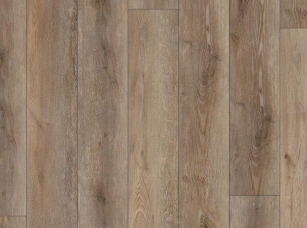 COREtec Pro Plus XL Enhanced Suva Oak 9"